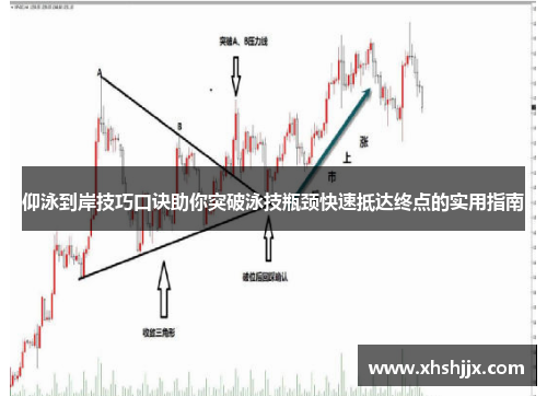 仰泳到岸技巧口诀助你突破泳技瓶颈快速抵达终点的实用指南