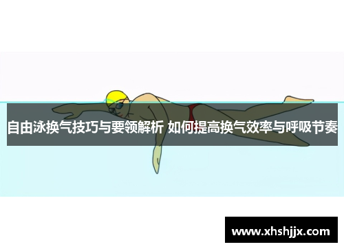 自由泳换气技巧与要领解析 如何提高换气效率与呼吸节奏
