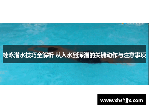 蛙泳潜水技巧全解析 从入水到深潜的关键动作与注意事项